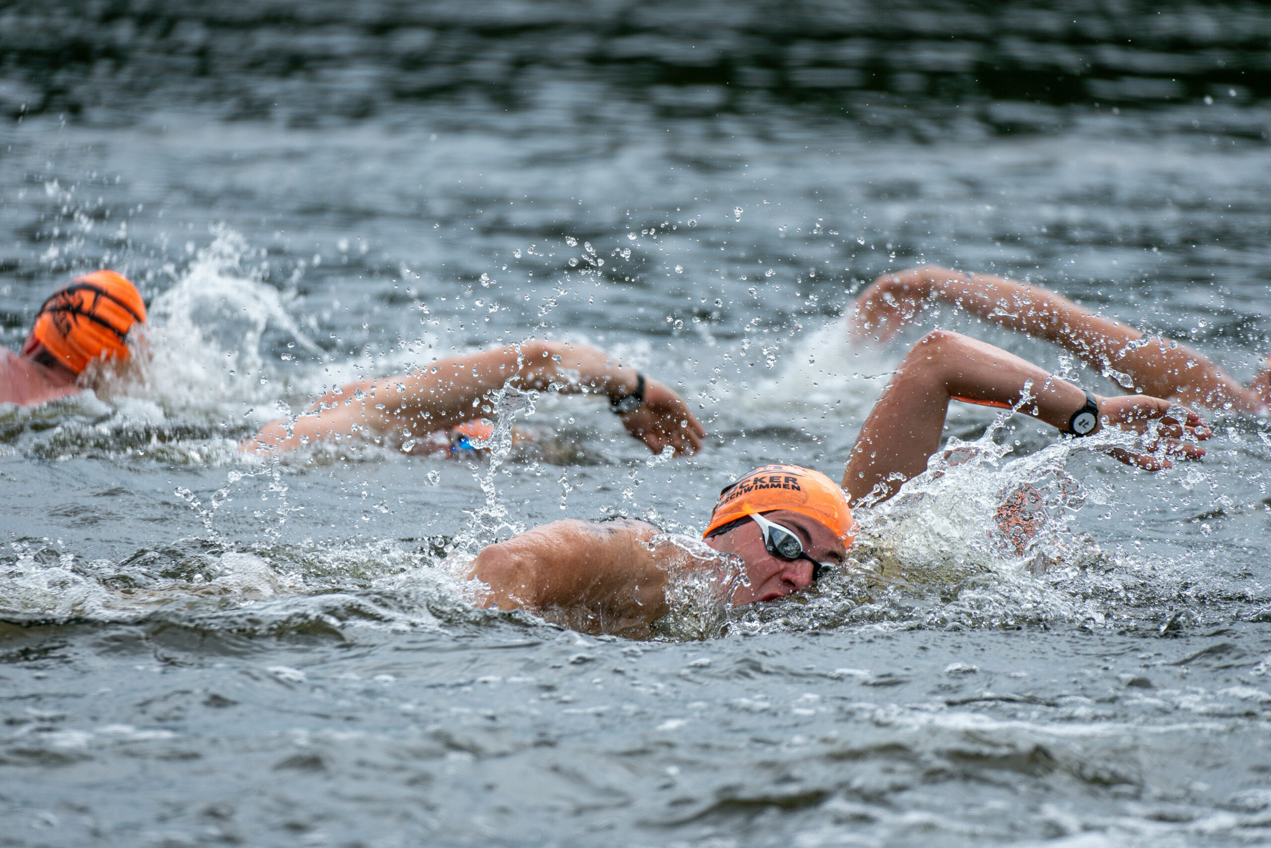 22. Warnowschwimmen